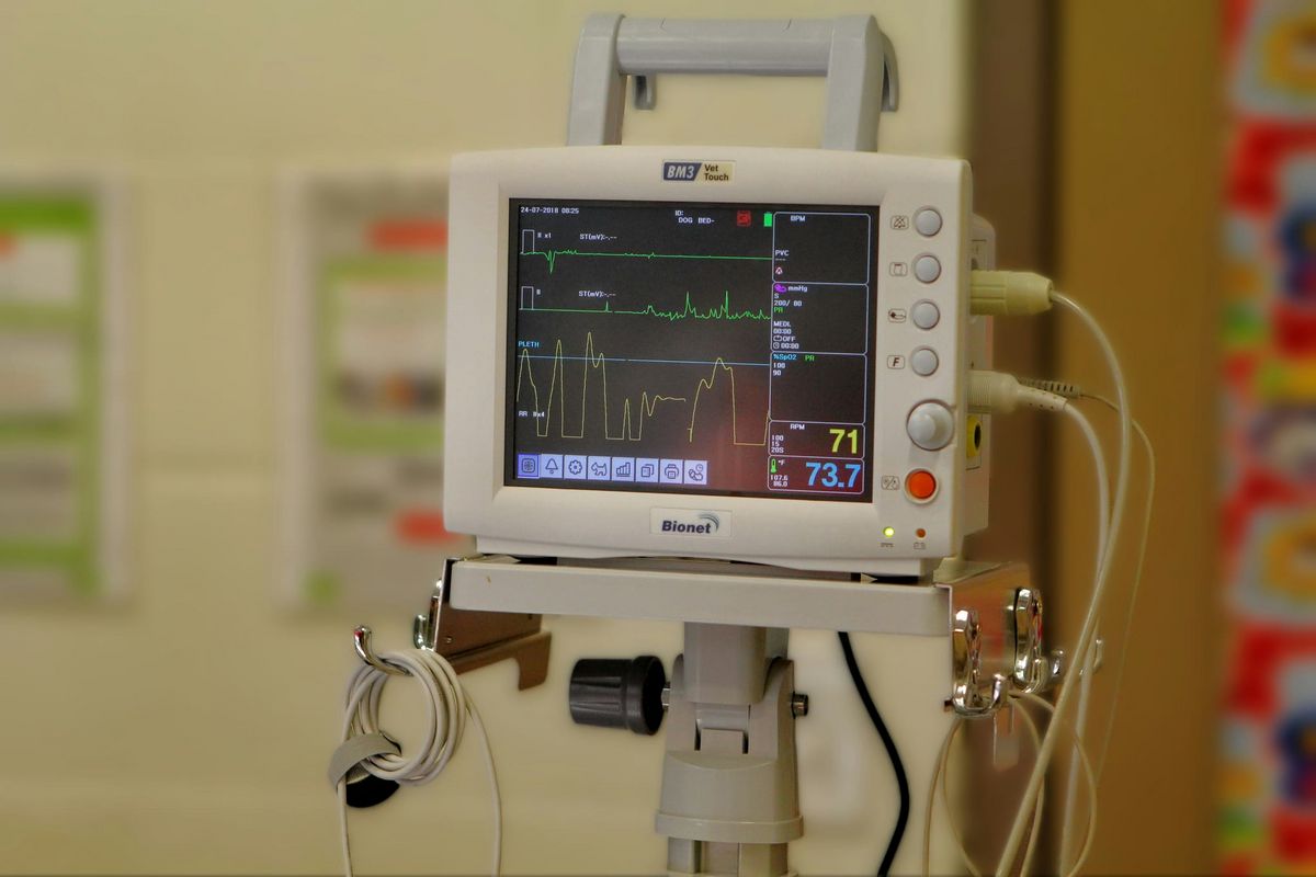 Monitor životních funkcí s křivkou EKG